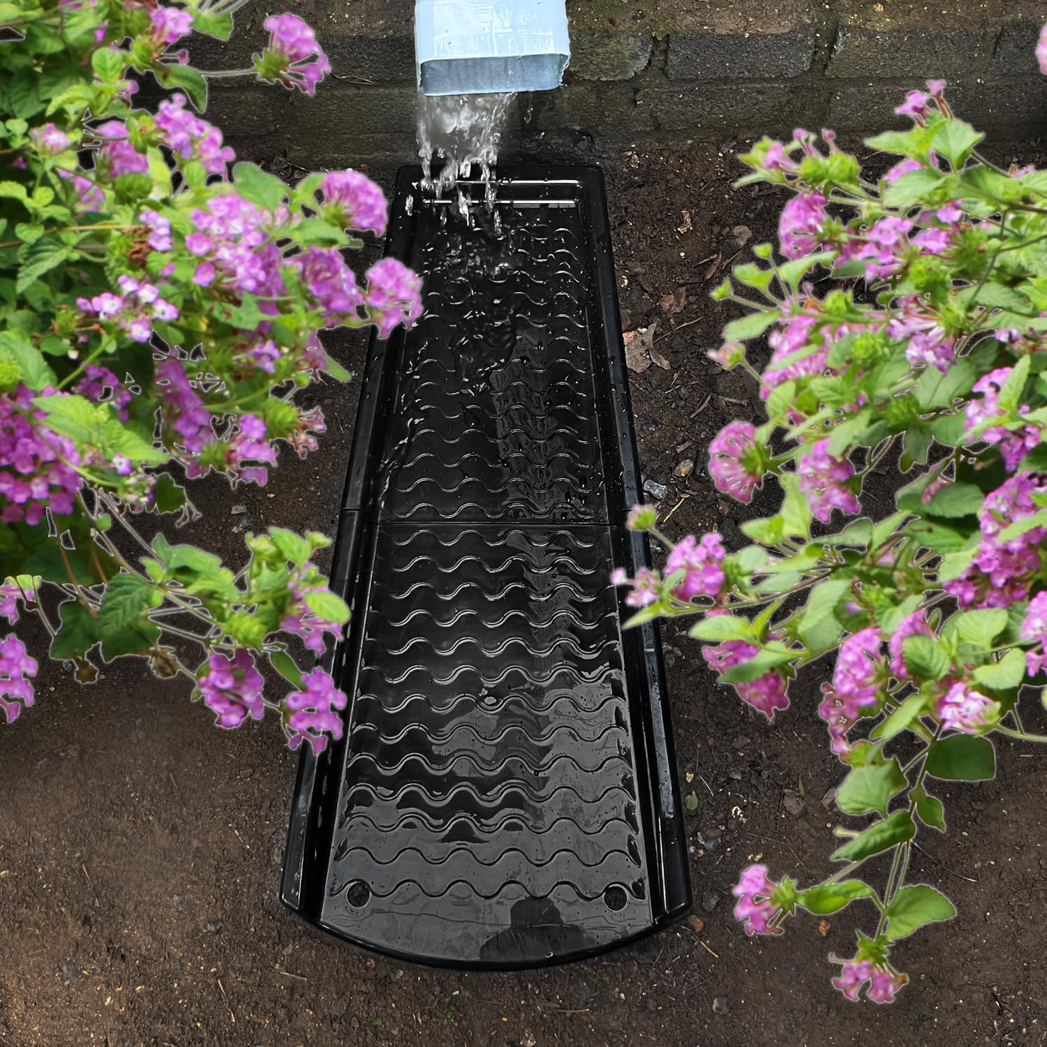 NAACOO product image